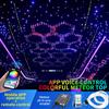 Led Star Roof Starlight Headliner Fiber Optic Lamp APP Voice 16W Twinkle Starry Sky RGB Car Star Ceiling Light Remote Control