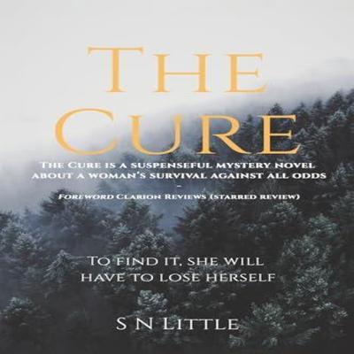 The Cure by S N Little Paperback Book 9781035878468