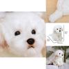 Adorable White Maltese Plush Toy, Fiber Filled, Long Haired Stuffed Animal, 33x24x16cm/38x26x21cm