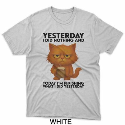 Cat Yesterday I Did Nothing And Today I'm Finishing T-Shirt
