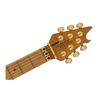 Special Quilted Maple Baked Maple Fingerboard Purple Burst EVH EVH/Wolfgang