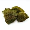 BioClumb Moss Cushion moss, tufts 100g