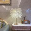 Nordic Romantic Ostrich Feather Floor Lamp - Soft Light Decorative Bedside Lamp