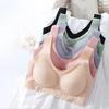 Sutiãs Plus Size Sem Costura para Mulheres Roupa Interior Push Up Bralette com Bojo Colete Top Bralette