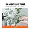 Artificial Eucalyptus Tree, 1.8 m Tall Faux Plant, Secure PE Material & Anti-Tip Tilt Protection Low-Maintenance Plant, Lifelike Green Fake Potted