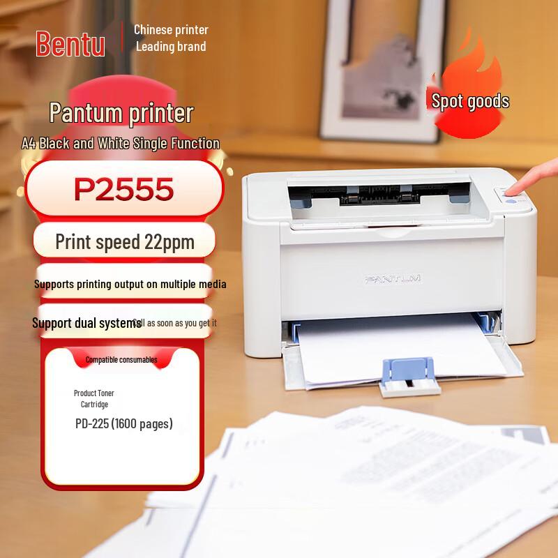 Pantum A4 Laser Printers & Multifunction Devices CN plug (adapter included)