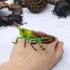 2Pcs Cartoon Locust Statue Vivid Animal Toys Creative Locust Animal Model  Garden