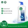 Dettol Healthy Shower Gel