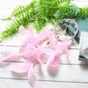 Decorações – Caçadores de sonhos