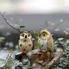 Mini Cute Cartoon Owl Shape Adornment for Plant Pots Fairy Garden Decor Ornament