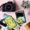 3Pcs 3 Styles Pocket Theme Carbon Steel Cutting Dies Stencils for DIY Scrapbooking Photo Album Decorative Embossing Paper Card Mixed Shapes