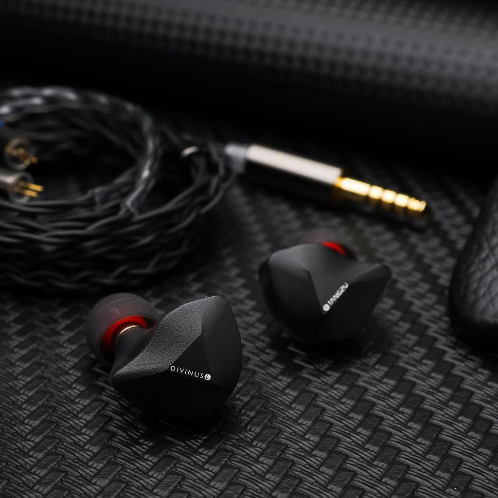 HiFiGo TANGZU x DIVINUS FUDU VERSE1 3 Hybrid Driver In-Ear Monitor, ZEN Series 10mm DD+ 2BA In-Ear Earphones with 3D Printed Shell (4.4mm, Black)