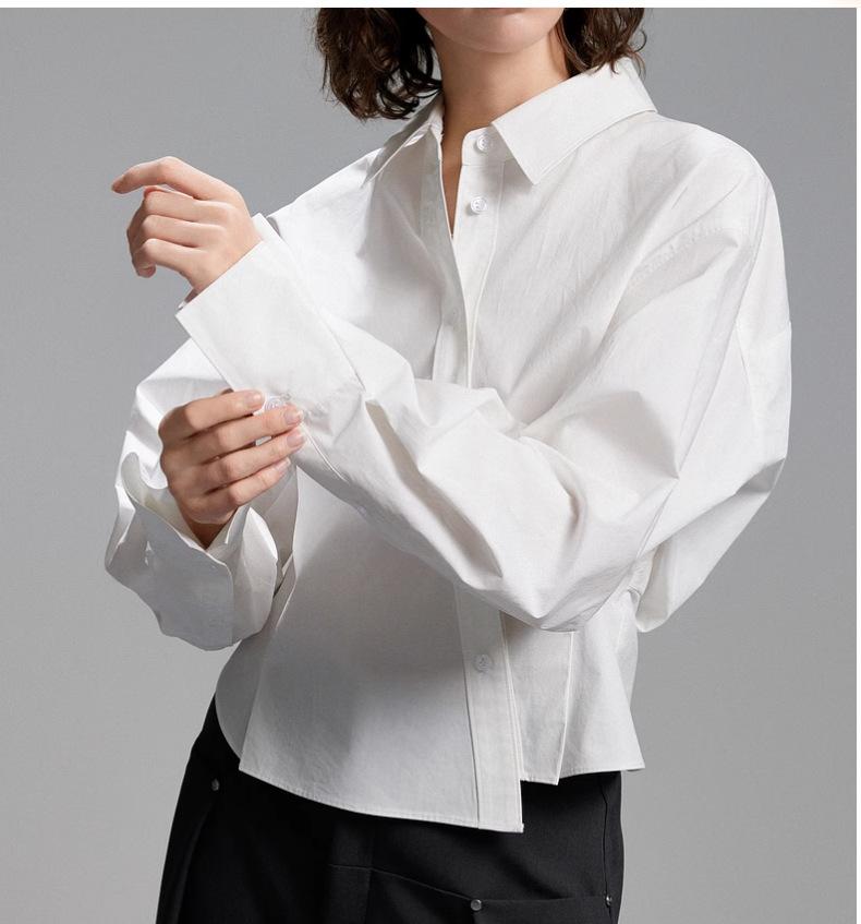 French-style foreign-style shirt, top, versatile and thin, casual and irregular design, long-sleeved shirt, small shirt, loose new.
