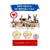 [VIAHART] Highland Cow Henry Plush Toy Brown M Size (Approx. 29cm) Fluffy Cow Stuffed Toy Hand Washable Present [Parallel Import]