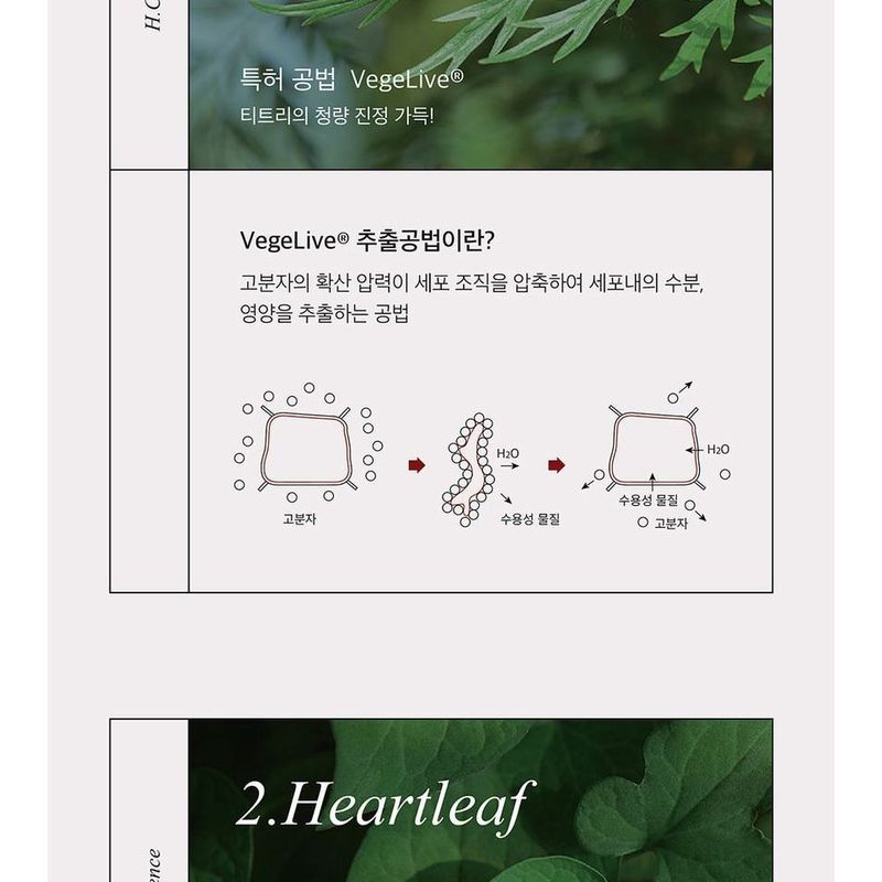 mixsoon - H.C.T. Essence