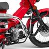 Bruce Shark Hunter Cub Motorschutz CT125 Motorschutz Anwendbar Honda CT125 Hunter Cub CT125 Hunter Cub Exklusives Design Sturzschutz Kratzschutz