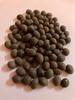Kamal Gatta Lotus Seeds – Goddess Laxmi Puja Offering