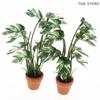 1Pcs Green Monstera Plant Potted Home Decoration Garden Bonsai Model 1/12 Dollhouse Simulation Micro Landscape