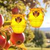 Solar Powered Wasp Fly Trap Lights Waterproof Outdoor Bee Trap Non-toxic Bee Hornet Hanging Catcher Trap Safe Trap