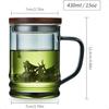 Glass Tea Cup with Infuser and Lid 14.5 fl oz Heat Resistant Borosilicate Glass Tea Infuser Mug for Blooming and Loose Leaf Tea