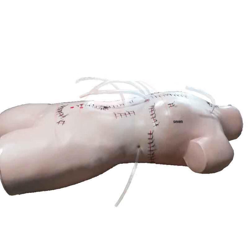 

Surgical Suture and Dressing Training Model