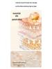 Rechargeable Abdominal Massager: Moxibustion, Hot Compress, Kneading, Bianshi Therapy