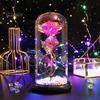 No Maintenance Flower Gift Rose Gifts for Her Mom Wife Grandma Light Up Eternal Lasting in A Dome Romantic Anniversary Birthday Valentine's