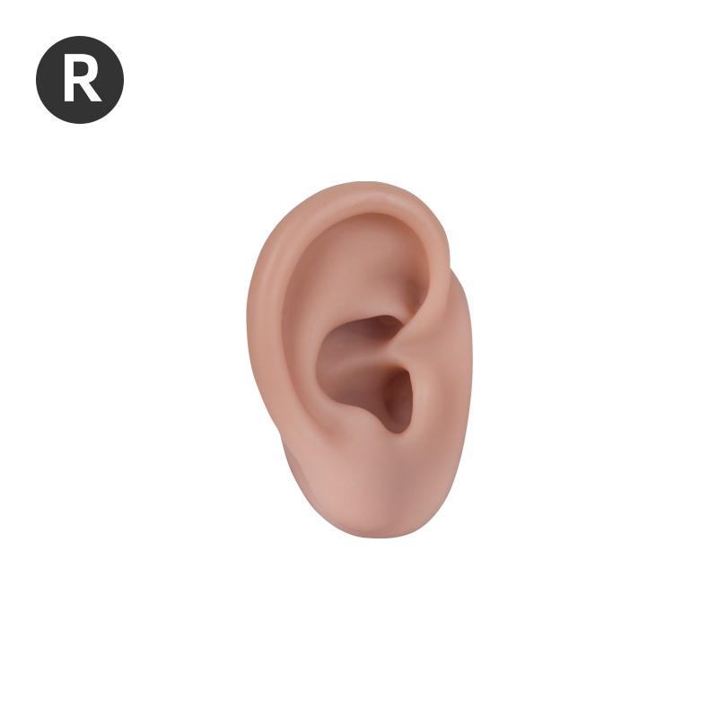 Realistic 3D Silicone Ear Model 1:1 Human Size Ear for Ear Piercing Practice Tattoo Training Display Props Tattoo Tools