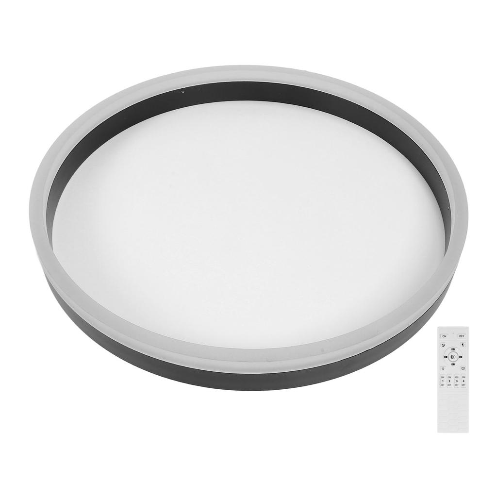 LED Ceiling Light Iron Acrylic Dimmable Round Flush Mount Modern Ceiling Light Fixture with APP