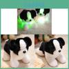 Leuchtendes Border Collie Plüschtier LED-Licht Kindergeschenk Für Kinder