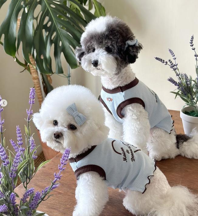 Small Dog Clothes Summer Breathable Clothing for Cat Cute Dog Clothing for Small Dog Vest Ruffled Collar Pet Clothes XS