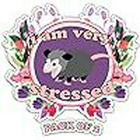 

Прочные виниловые наклейки для улицы для окон, бамперов и ноутбуков