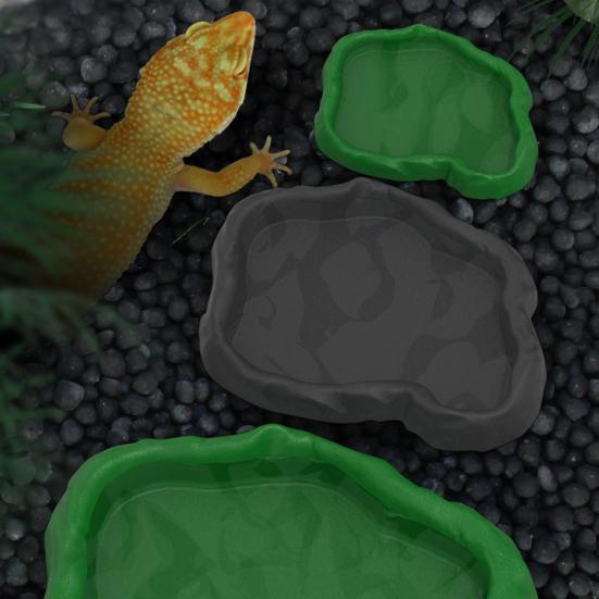 Reptilmater Terrariumskål Skilpaddefôr og Vannmateskål for Skilpadde Øgle Gekko Skjeggagam