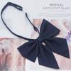 Matte Red Feather Bow Tie Brooch for Women - Plus Size Korean Academy Style