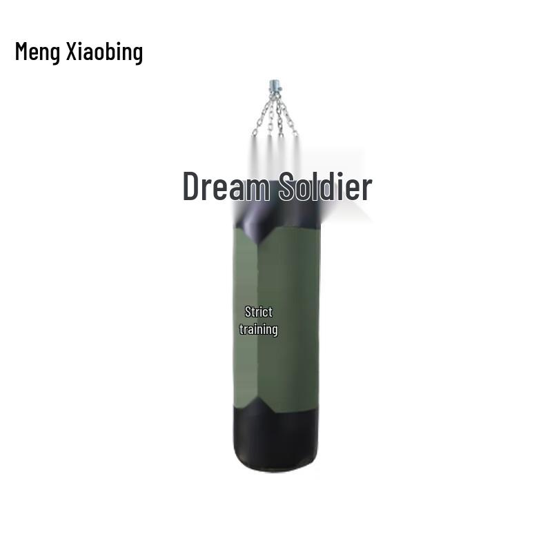 Solid Hanging Training Sandbag