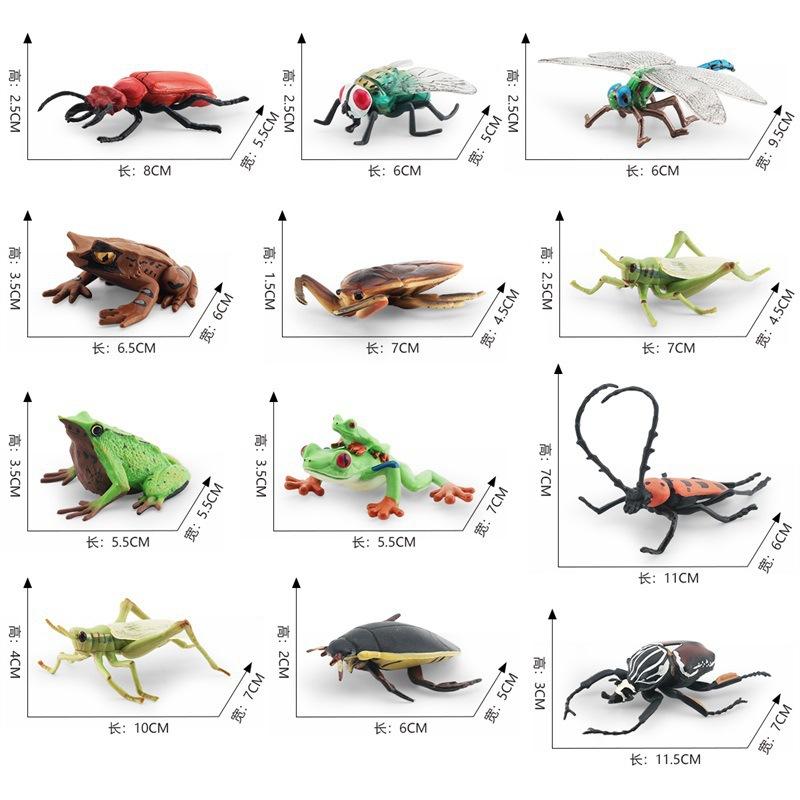 Simulated Insect Model, Liriodendron Beetle, Beetle, Triangular Dead-Leaf Frog, Reptile, Desktop Toy