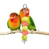 Alimentador de Aço Inoxidável para Papagaios de Estimação Garfo de Frutas Milho Brinquedos Frango Vegetais Suporte Pendurar Gaiola Vara Alimentadora Acessórios Alimentador Brid