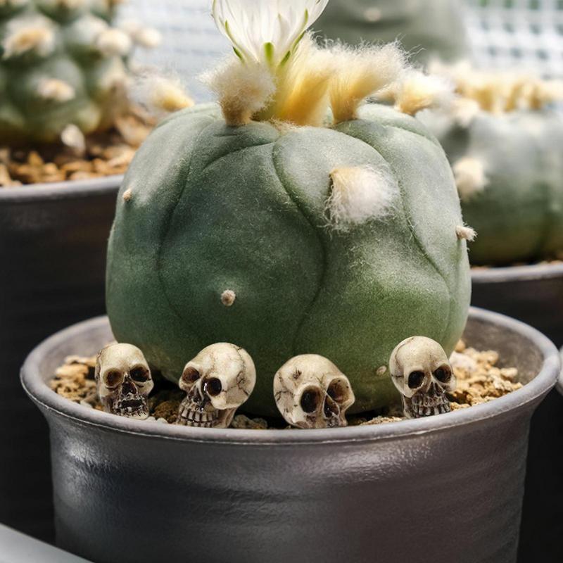

20 Pcs Resin Mini Skulls Heads Halloween Garden Decorations Skeleton Fake Human Ornament Trick Toy Skeleton Ornament China Mainland