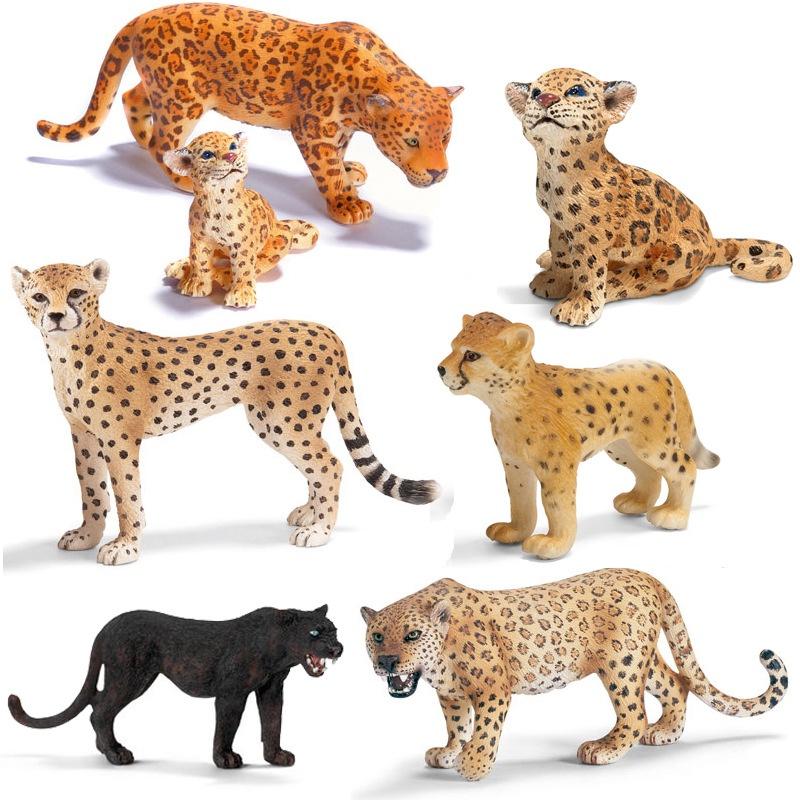 Schleich Simulierte Tierfigur PVC-Material Statisches Modell Wildtiere Kategorie Kein Zusammenbau Leopard 14748