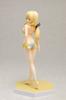 Haganai NEXT Hoshina Kashiwazaki [NEXT Ver.] (1/10 Scale Pre-painted PVC Figure)