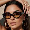 Small Frame Oval Sunglasses Women Men Simple Fashion Cat Eye Sun Glasses Camping Driving Shopping Shade Glasses