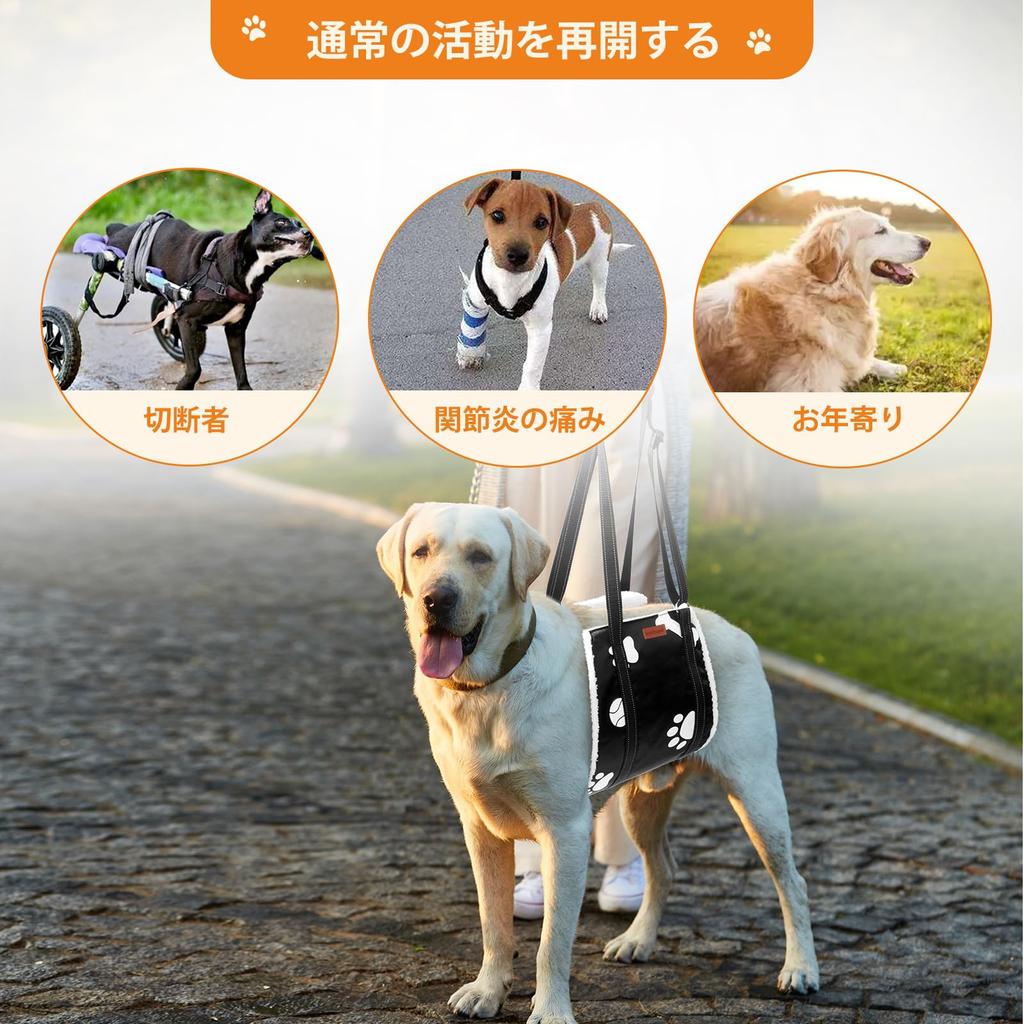 LOOBANI Dog Walking Assistance Arch Dog Care Adjustable Walking Aid for Different Size Dogs Safety Support for Disabled Injured Senior with Storage