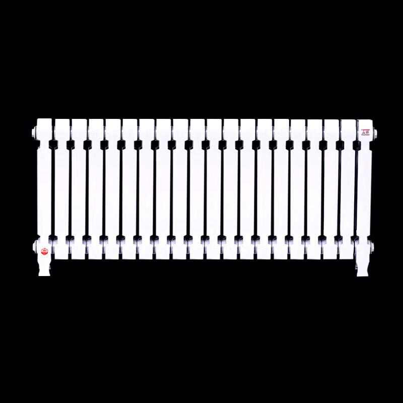 Lixing TZY2-6-8/62B Cast Iron Radiator