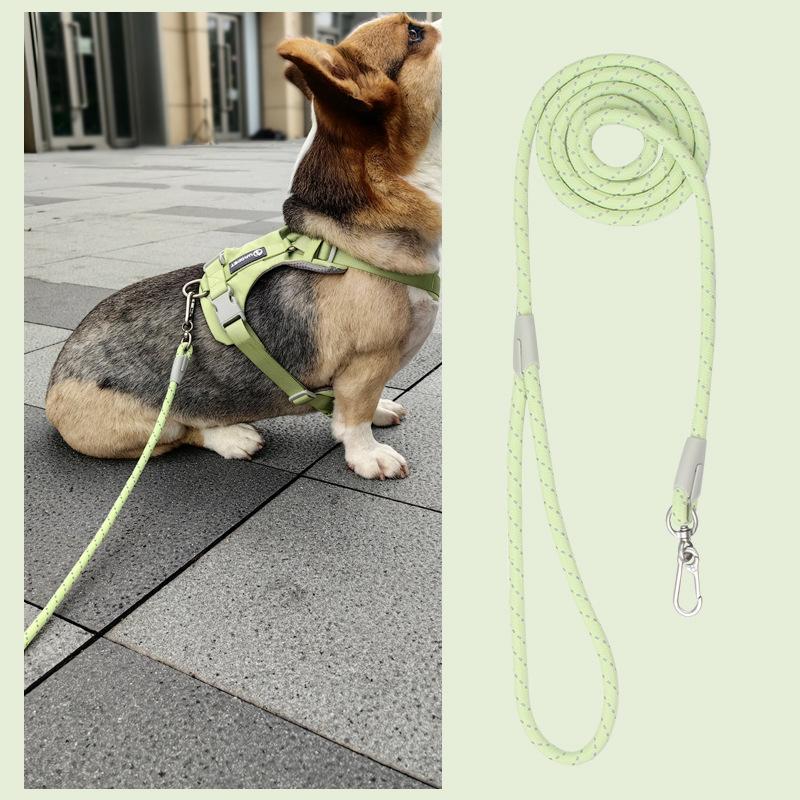 150cm Dog Leash Skin-friendly Nylon Macaron Color Pet Leash Japanese Small & Medium-sized Dog Corgi Teddy Pet Dog Leash Training