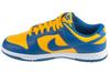 Nike Dunk Low Retro, Mens blue Sneakers