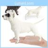 Kids Educational Pvc Dog Figure For Home Learning Animal Decor Gift For Children