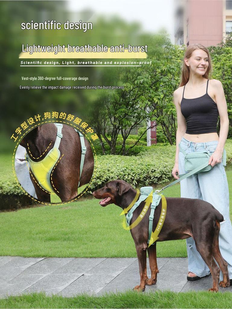 Explosionssicheres Cord-Hundegeschirr mit Lasergravur-Option