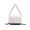 Lamb Wool Autumn/Winter Bags Female 2024 New Large Capacity Totes Shoulder Bag Fashion Wild Chain Stray Bag