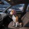 Adjustable Dog Calming Earmuff Anti Anxiety Soundproof Noise Cancelling Earmuffs Soft Breathable Calming Head Wrap