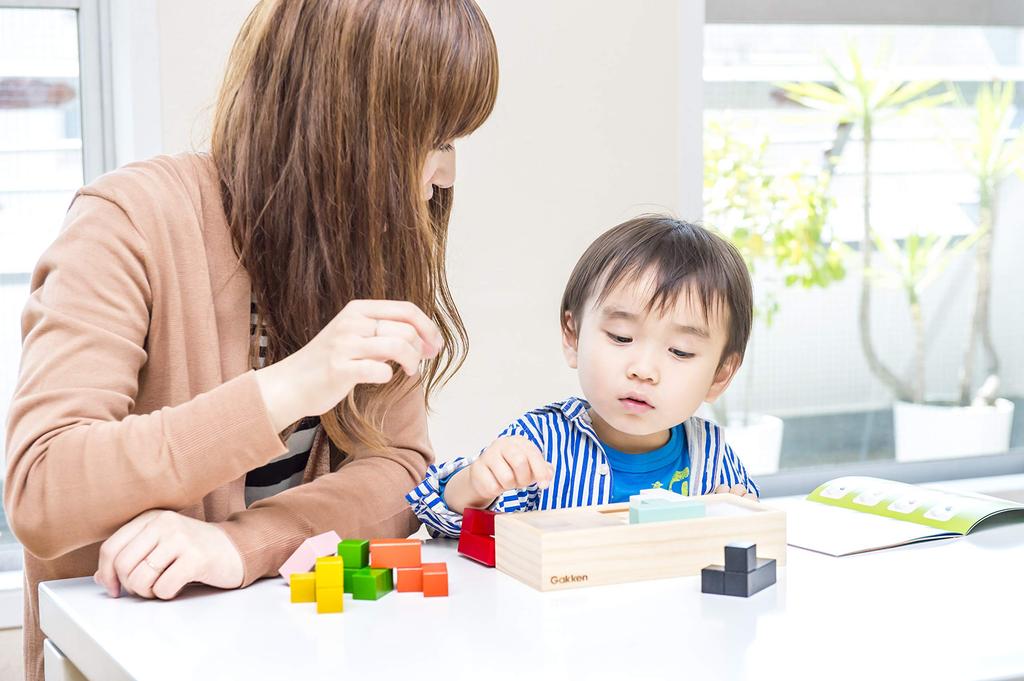 Gakken Pentacube 83409 Brain-Boosting